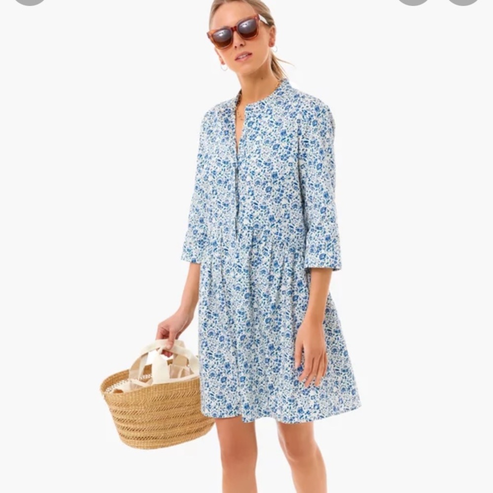 Tuckernuck dress